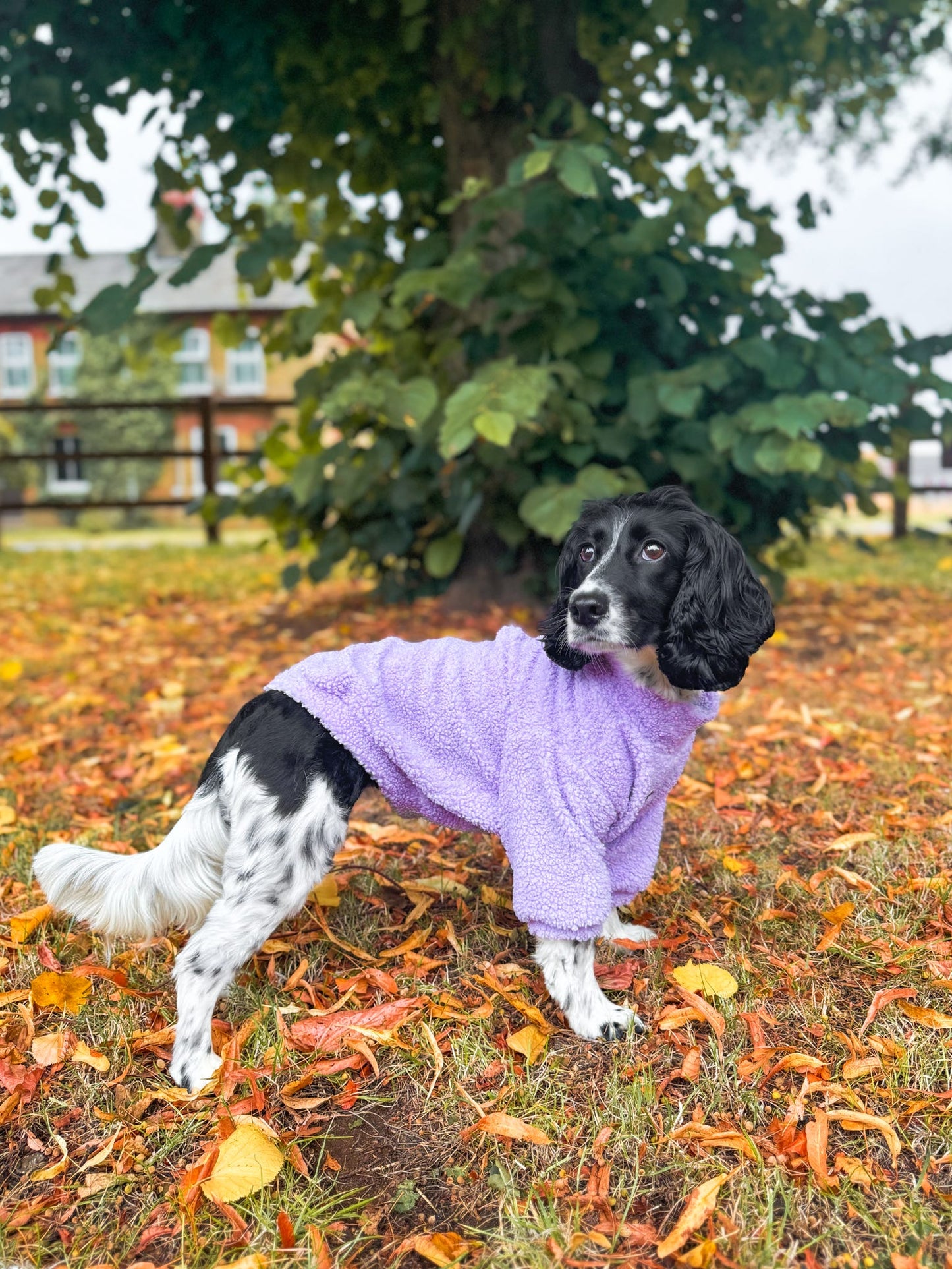 The Lilac Teddy Fleece