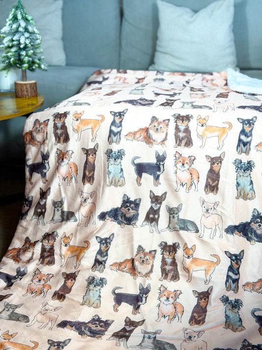 The Chihuahua Human Blanket