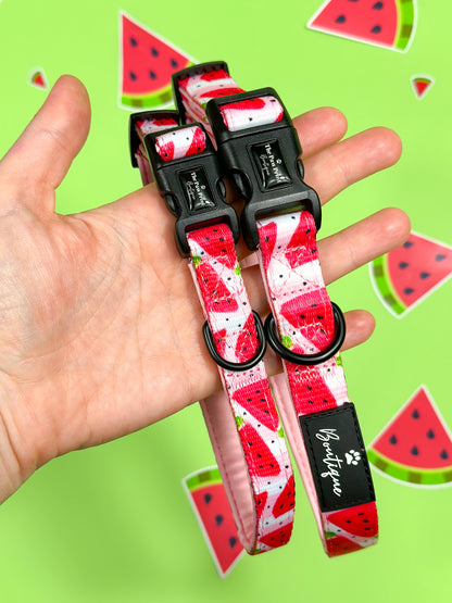 The Watermelon Sugar Collar