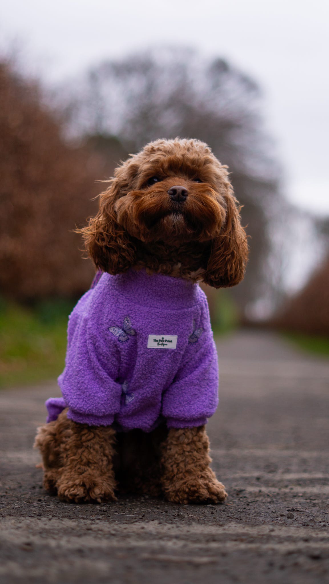 Teddy Fleece - Butterfly Bliss