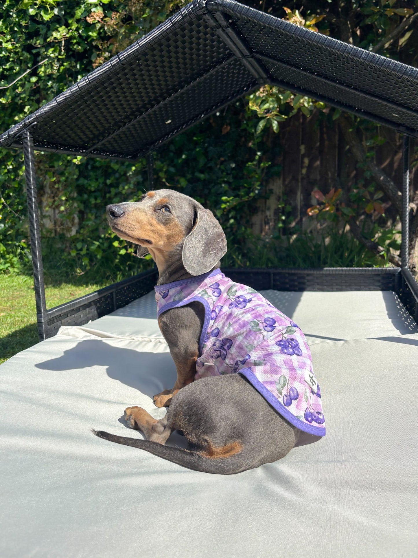 The Blueberry Gingham Cooling Vest