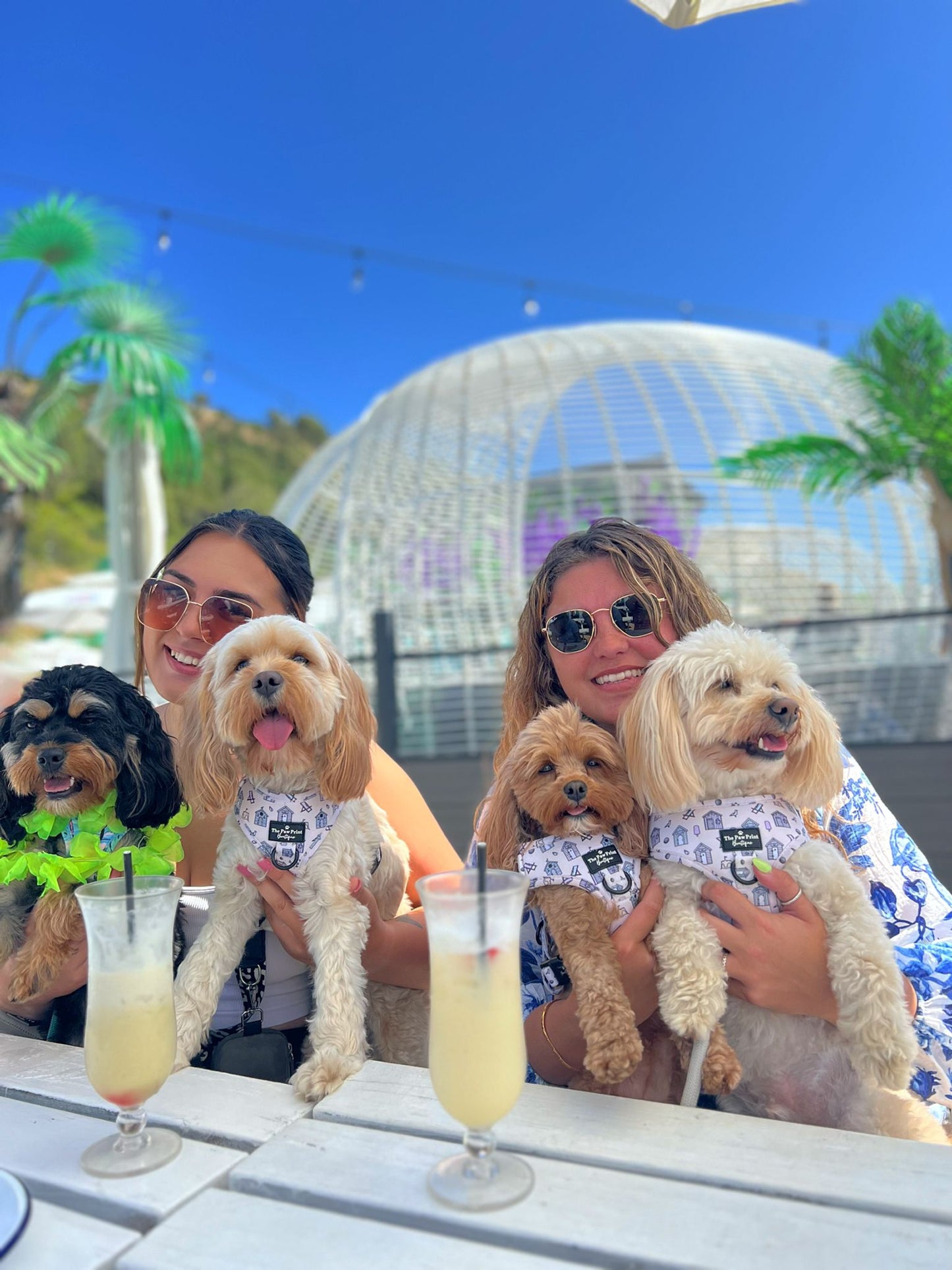 Beach Club Pawty Tickets 🏖️