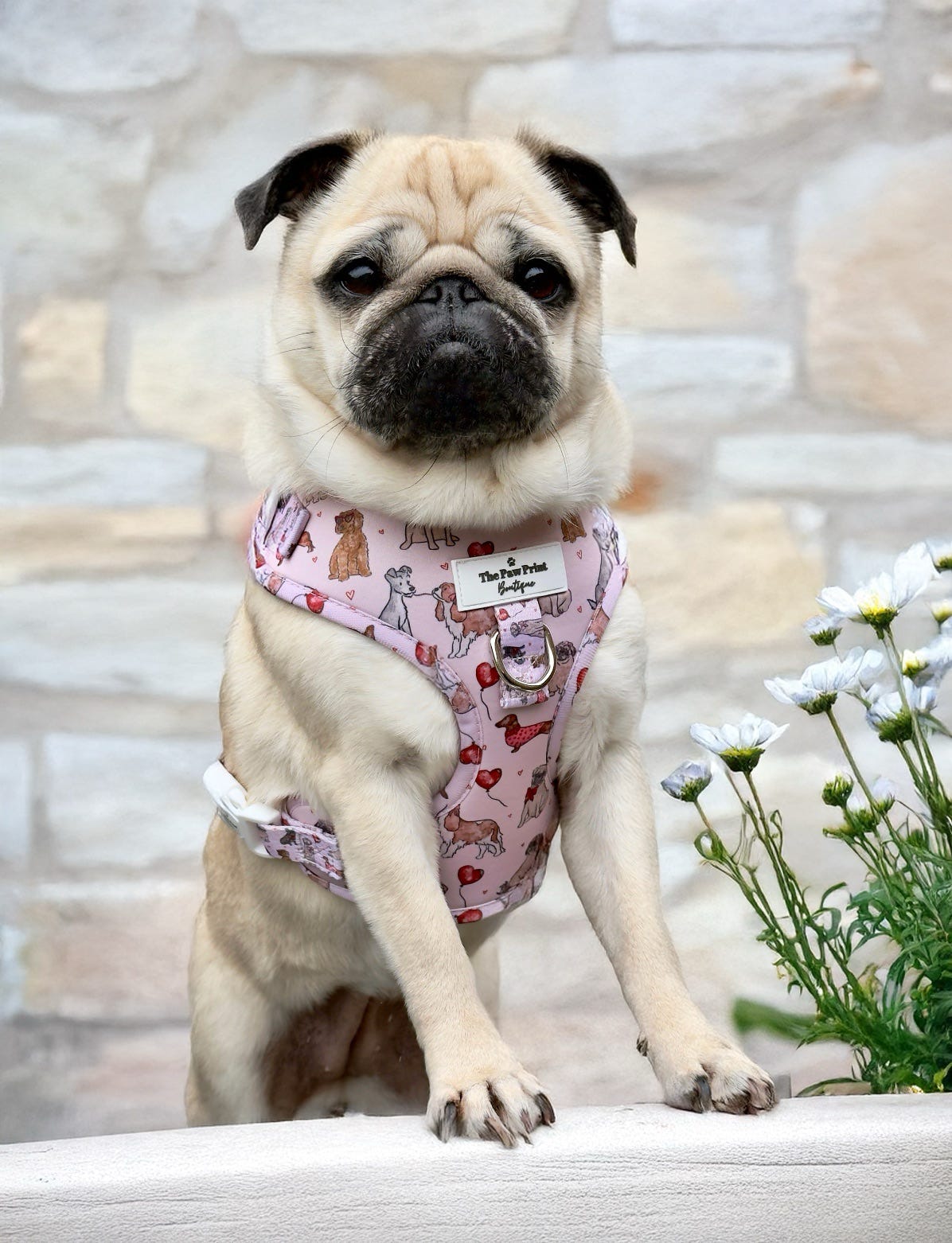 The Puppy Love Adjustable Harness