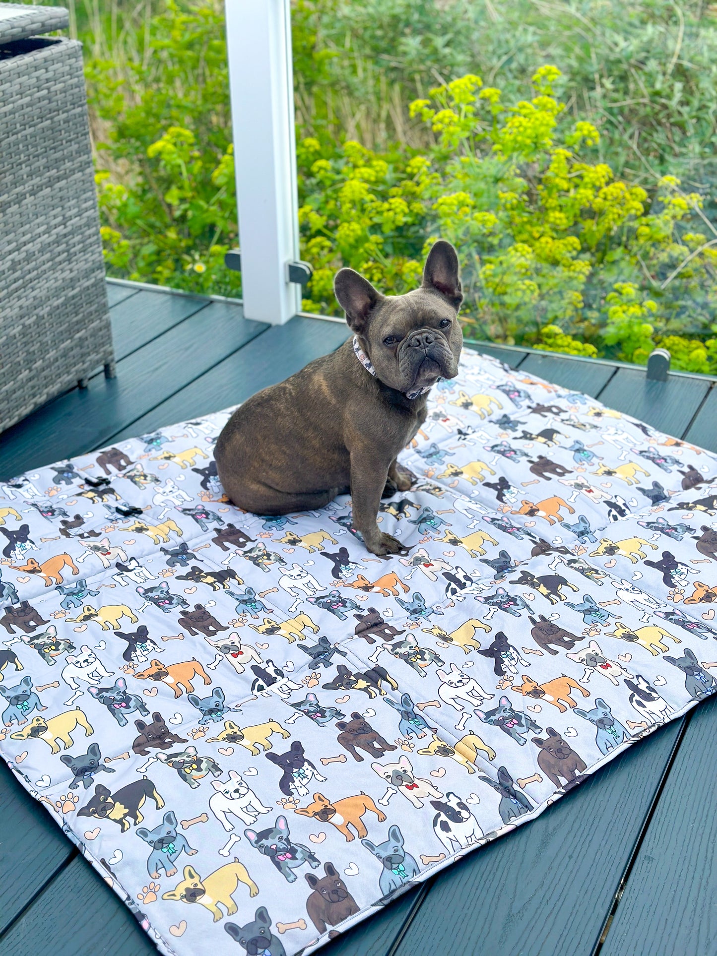 The French Bulldog Picnic Mat