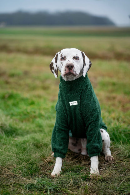 The Forest Green Teddy Fleece