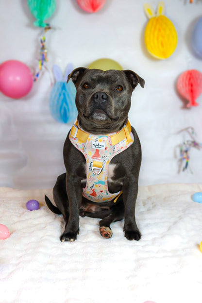 Hop into Bloom Adventure Paws Harness