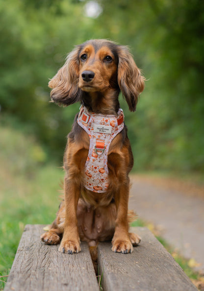 Pupkin Patch Adventure Paws Harness
