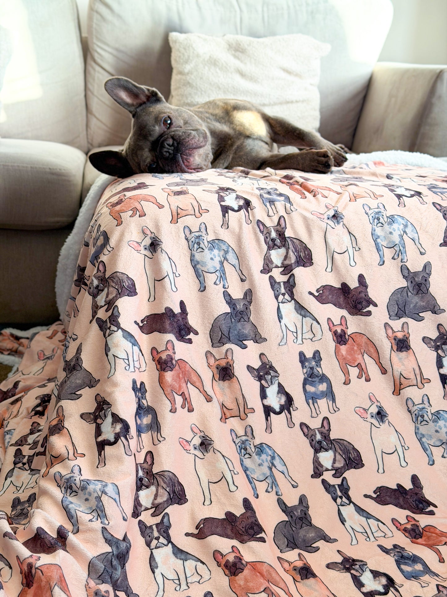 The French Bulldog Human Blanket