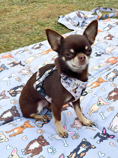 The Chihuahua Picnic Mat