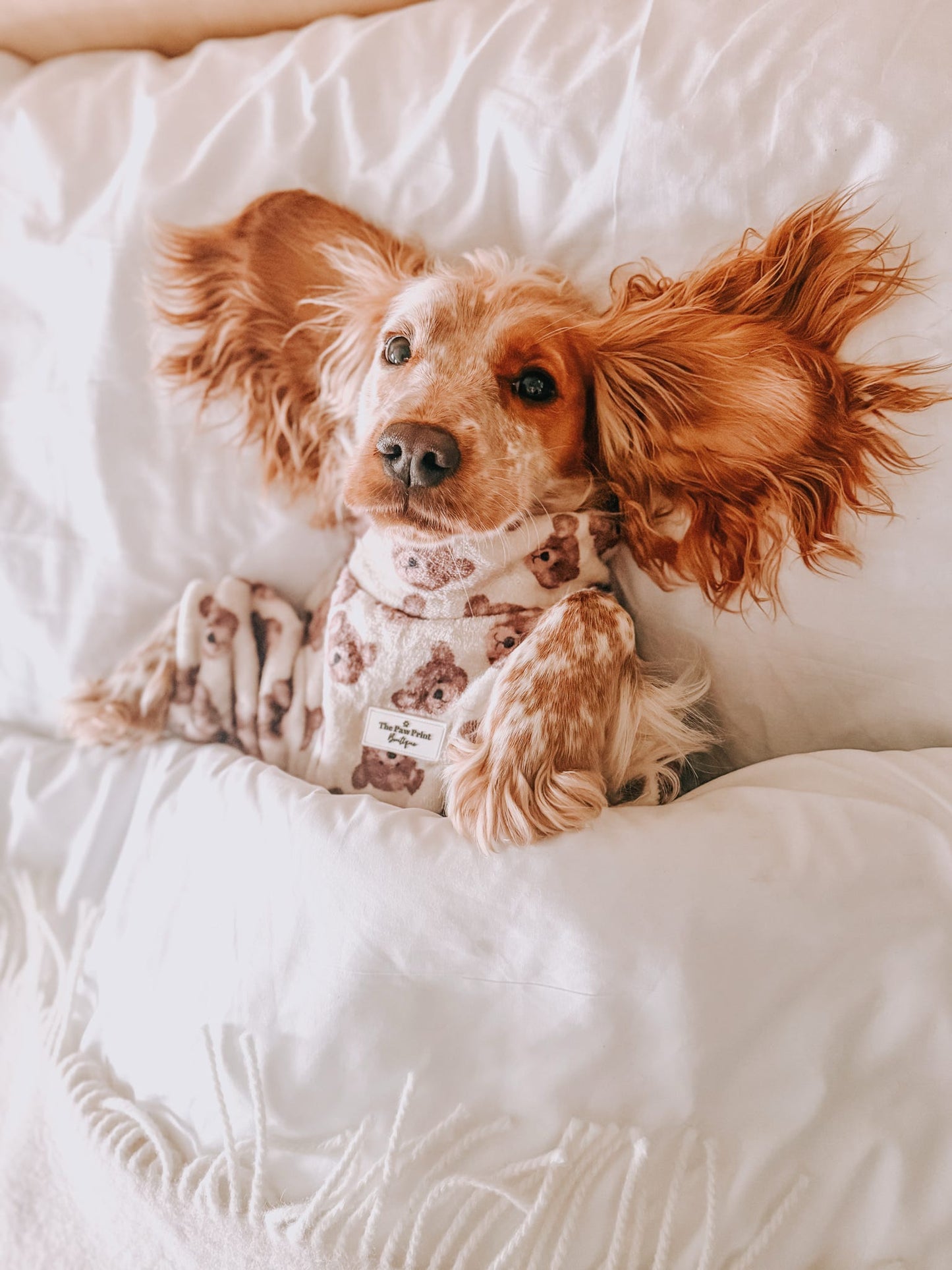 Little Bear Cub Snuggle Fleece