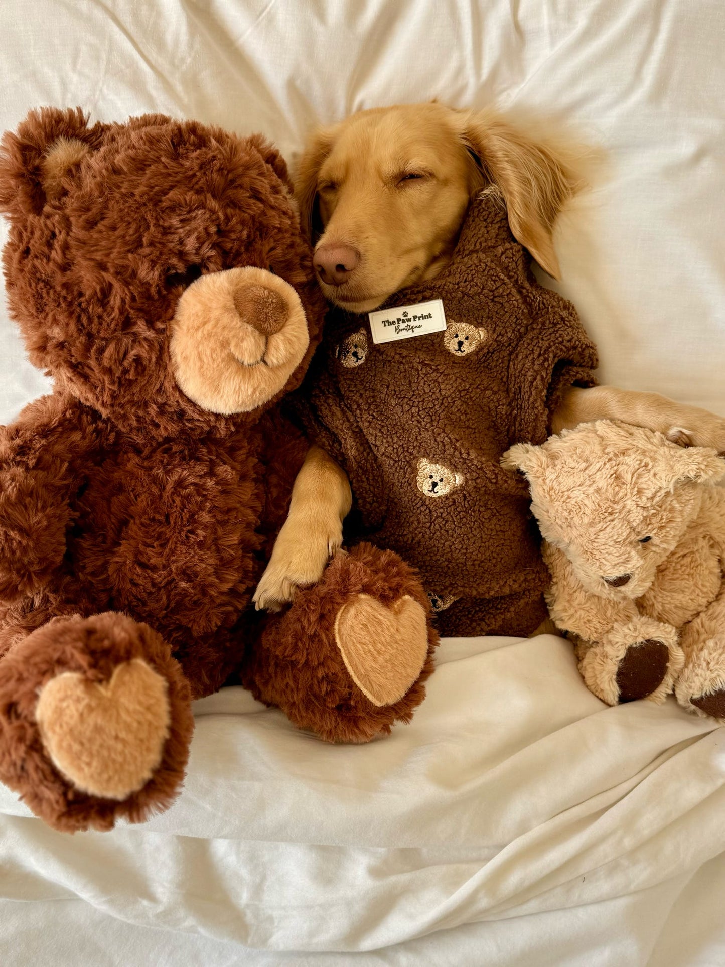 The Embroidered Little Bear Cub Teddy Fleece