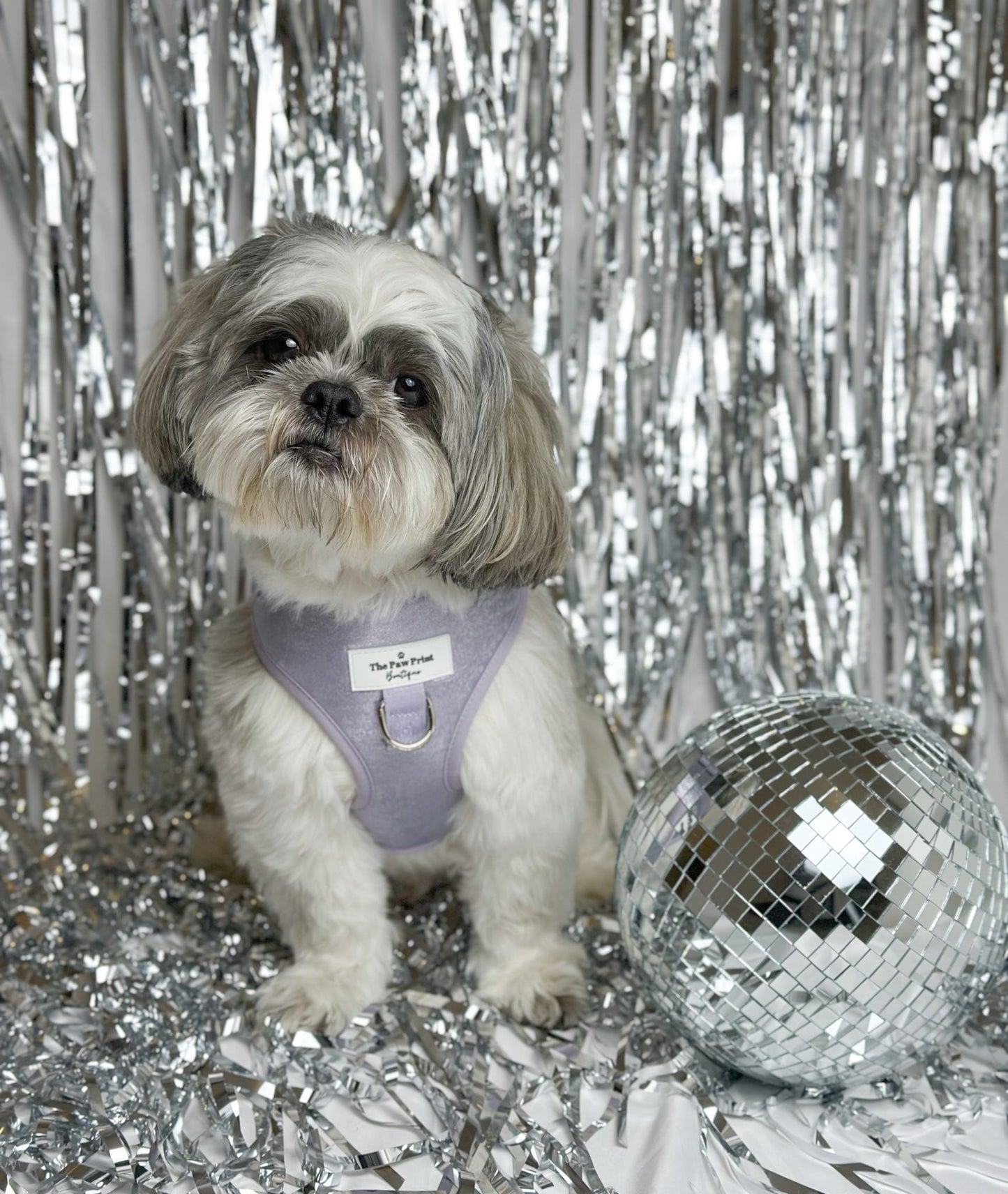 The Lavish Lilac Adjustable Harness