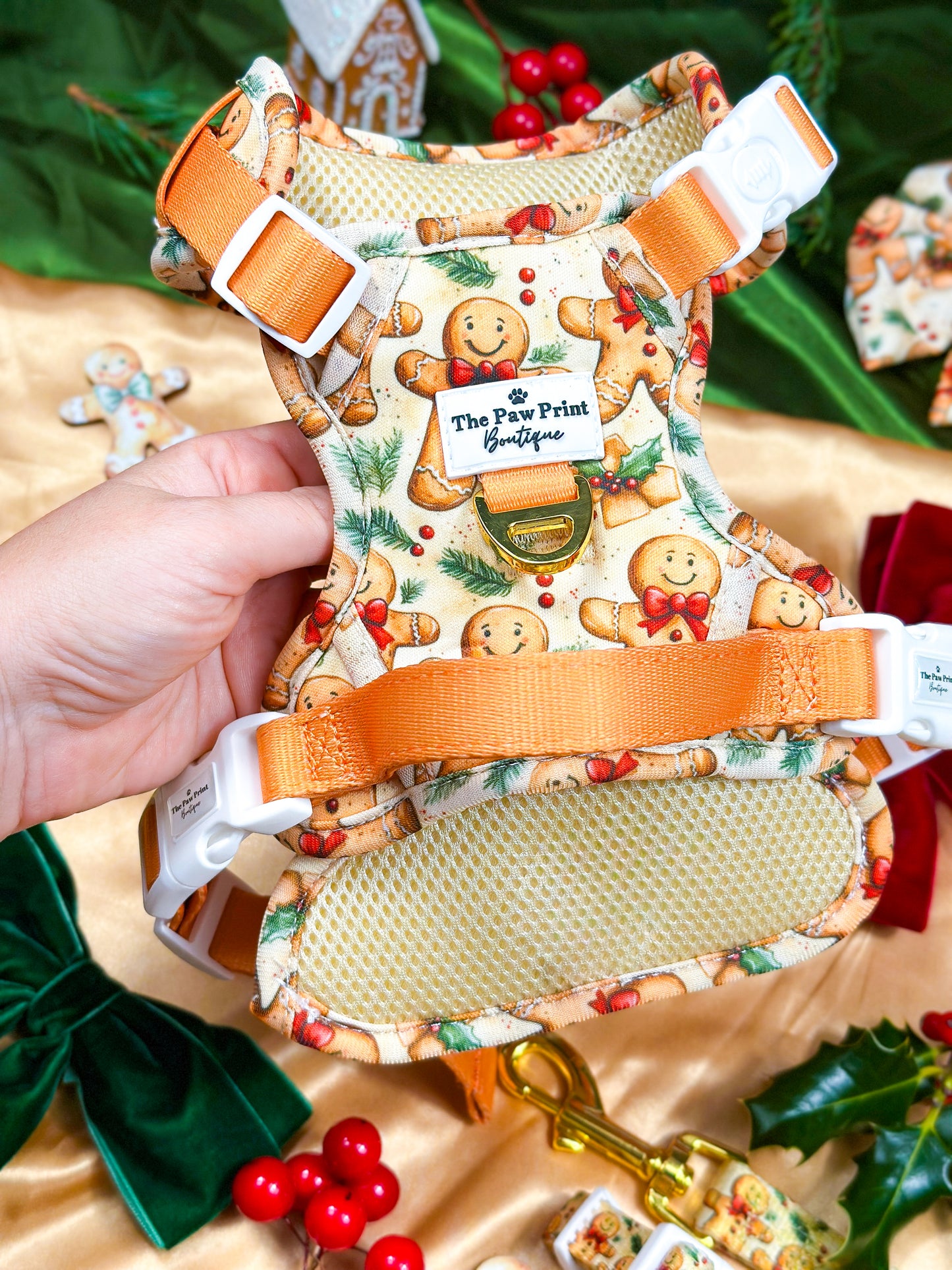 Gingerbread Grove Adventure Paws Harness