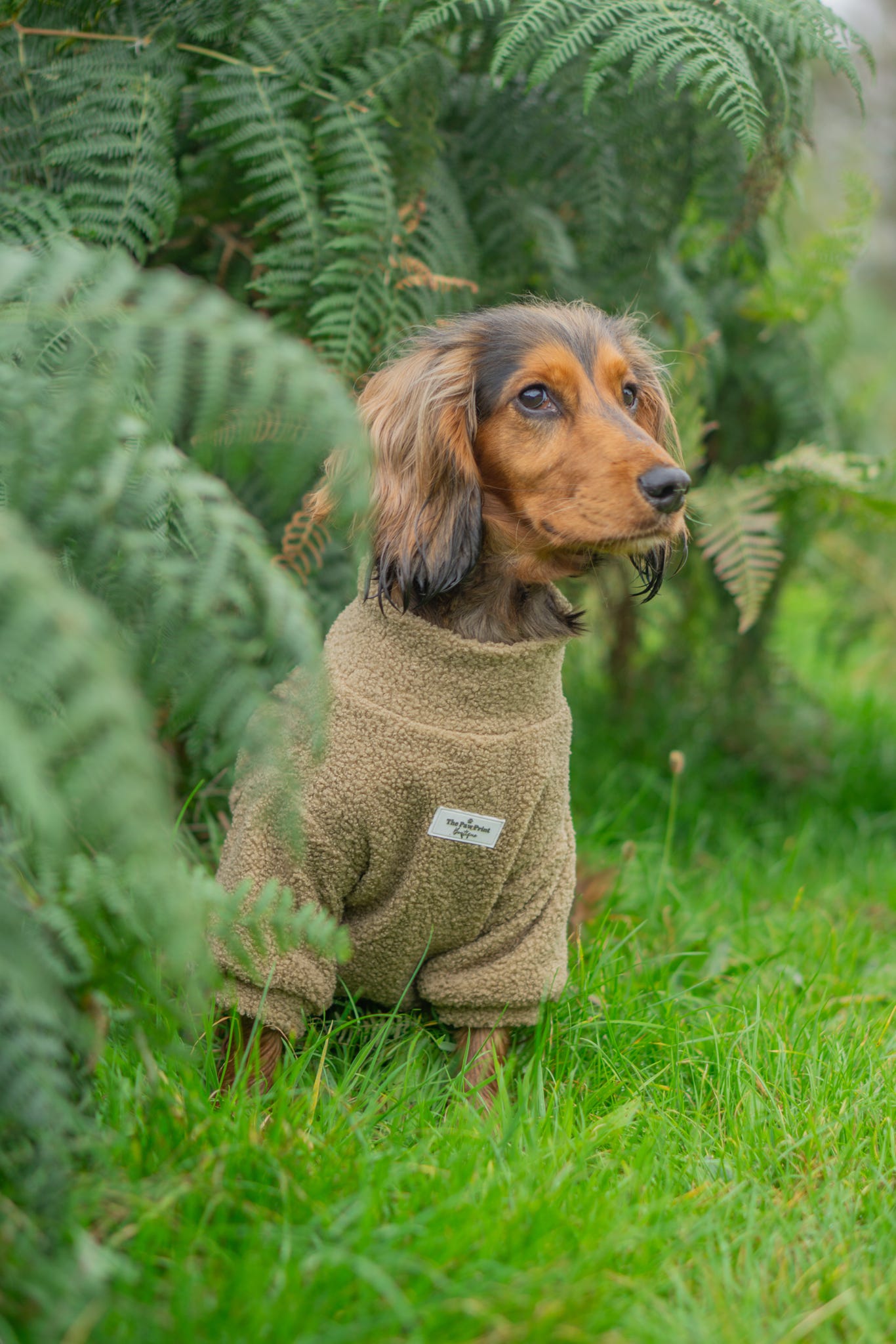 Teddy Fleece - Olive