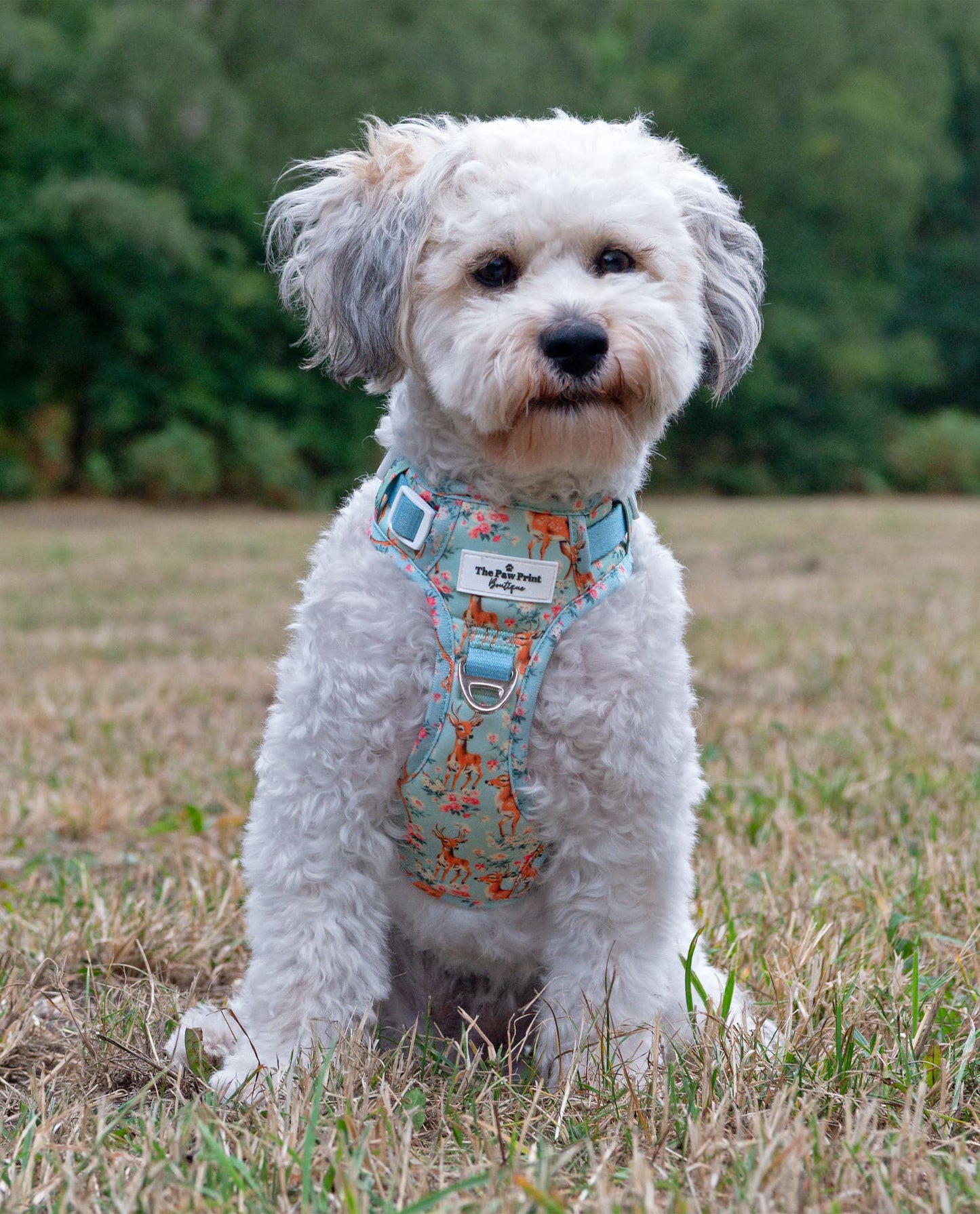 Bambi in Bloom Adventure Paws Harness