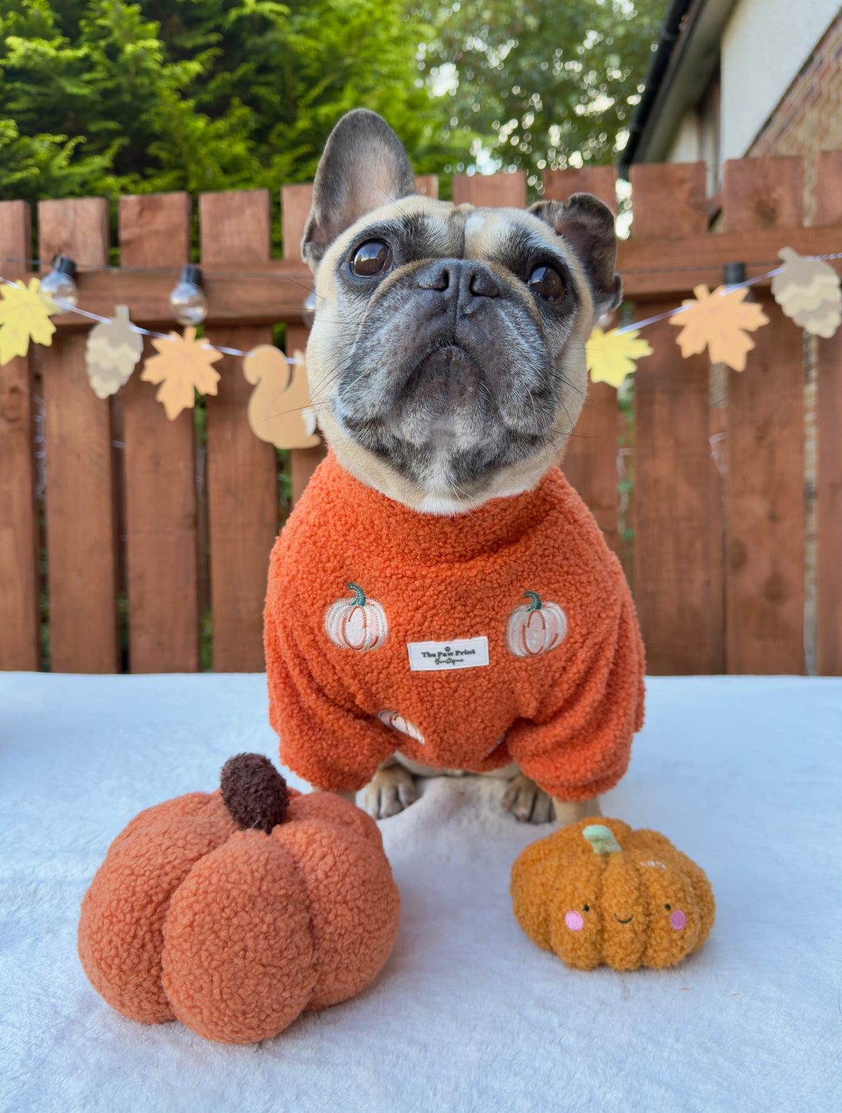 The Embroidered Pumpkins Teddy Fleece