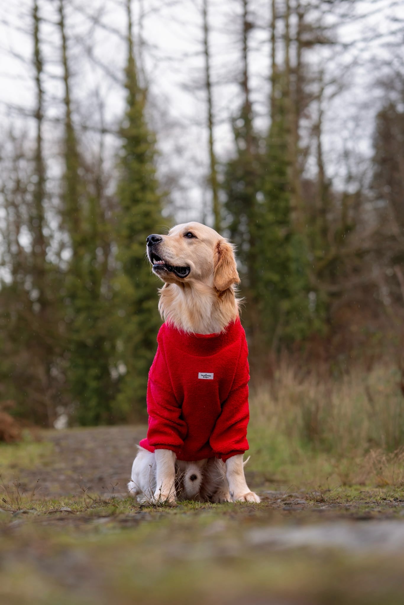 Teddy Fleece - Red Berry