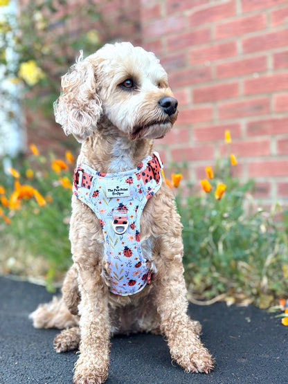 Ladybird Lane Adventure Paws Harness