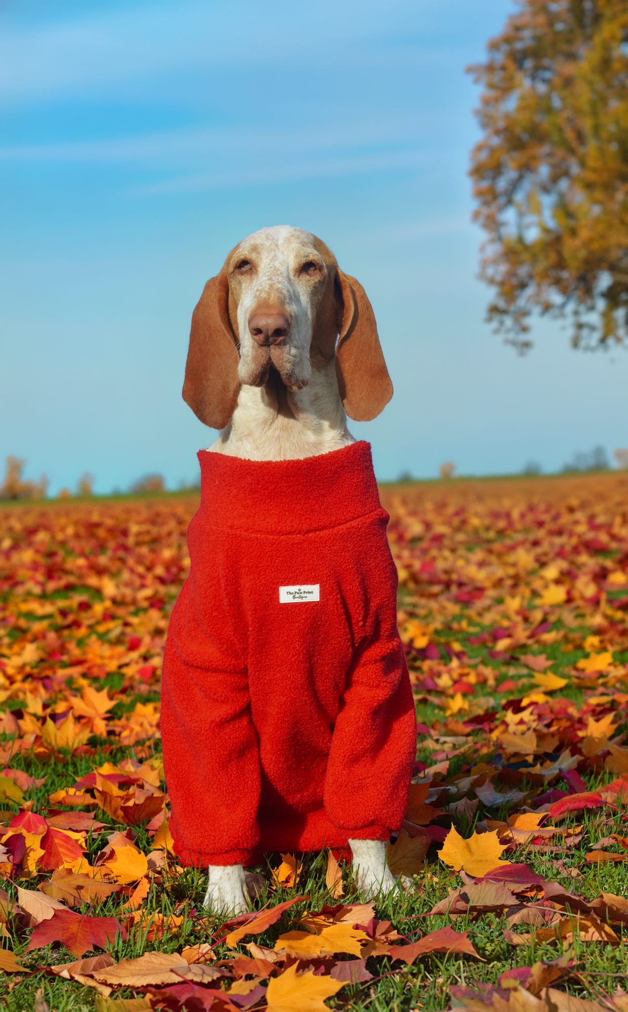 Teddy Fleece - Red Berry