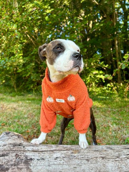 The Embroidered Pumpkins Teddy Fleece