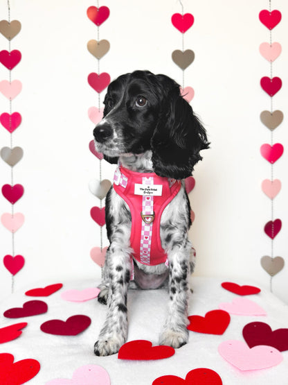 The Fur-ever Love Adventure Paws Harness