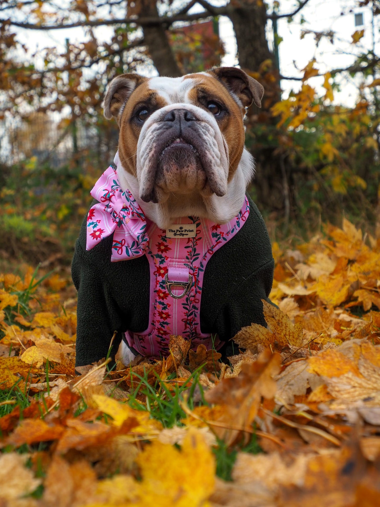 Merry Pinkmas Bow Tie