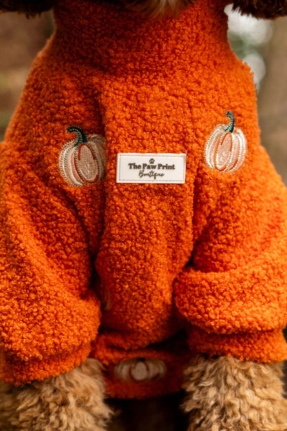 The Embroidered Pumpkins Teddy Fleece