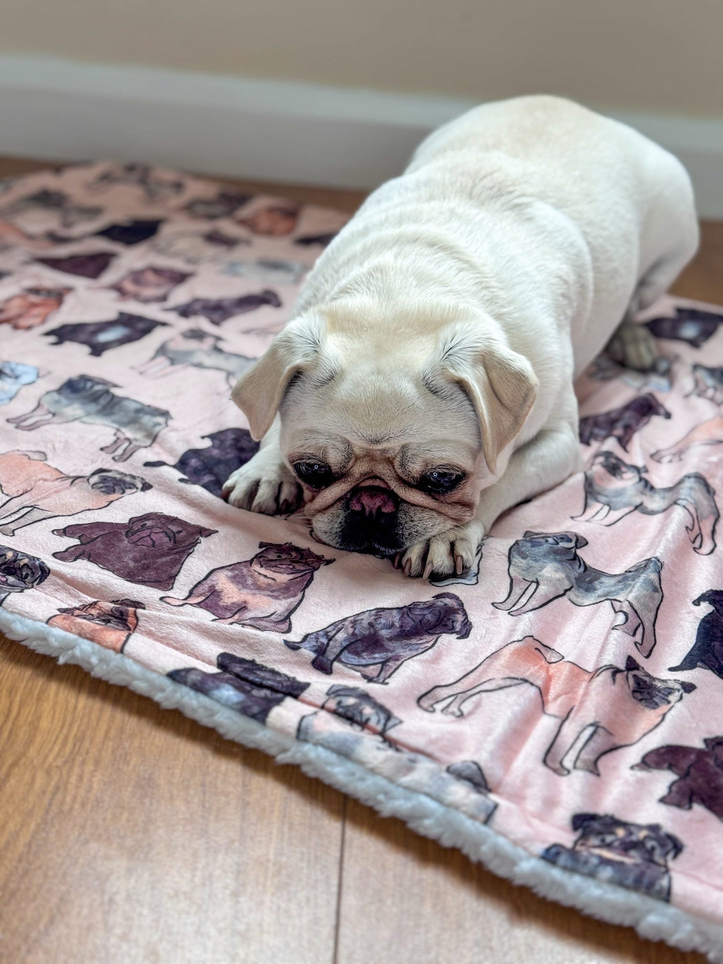 The Pug Dog Blanket