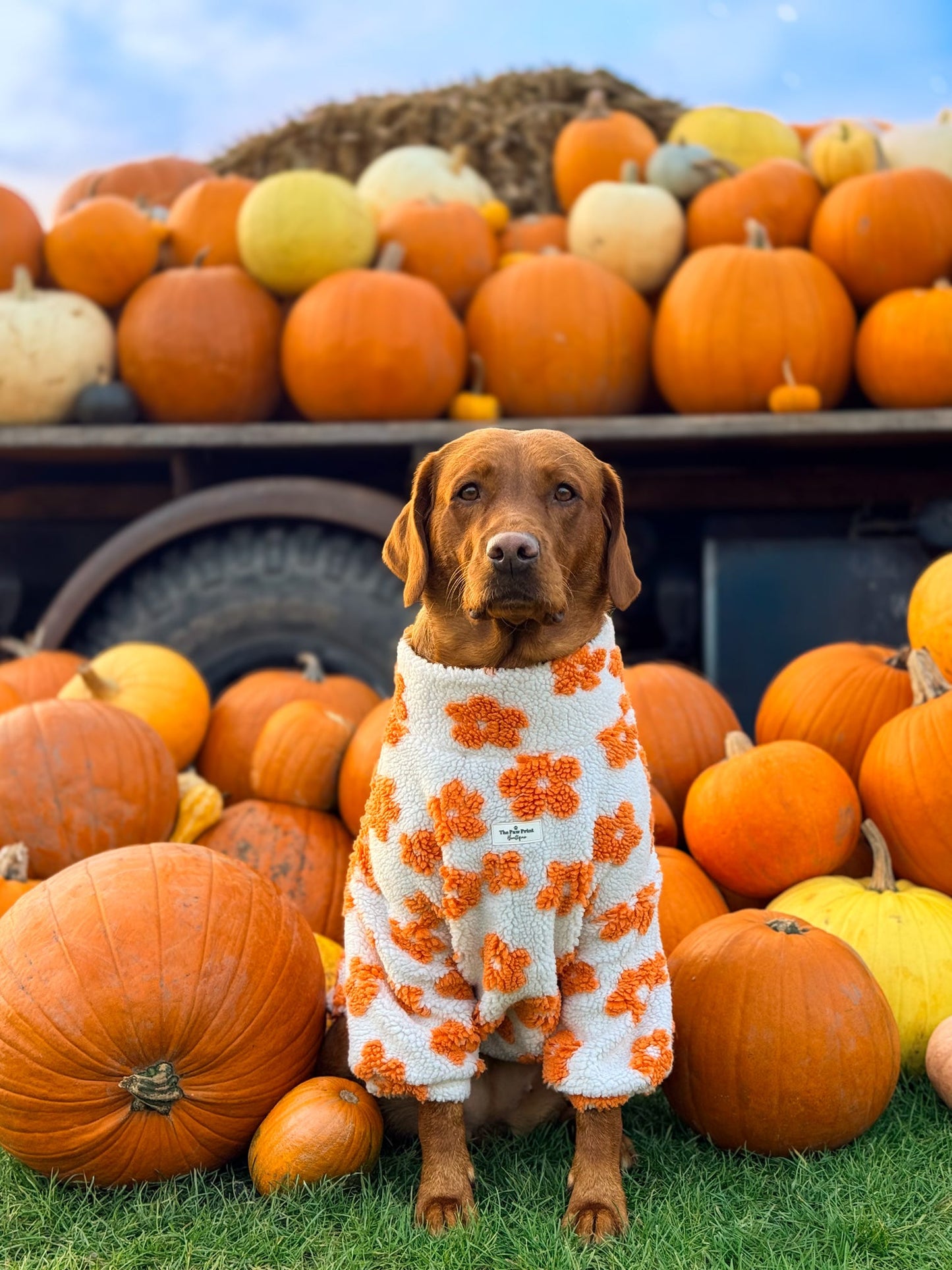 Orange Blossom Floral Fleece