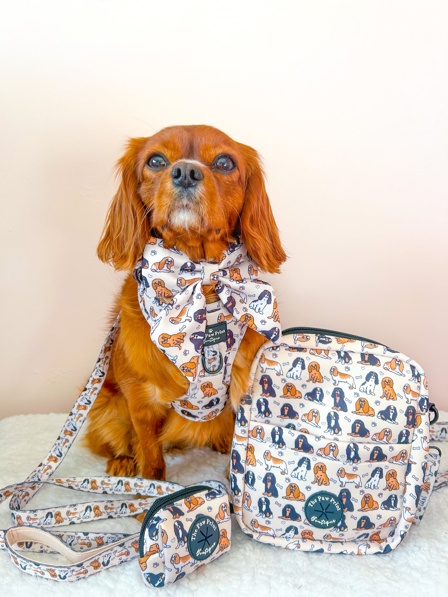 The Cavalier Adventure Paws Harness