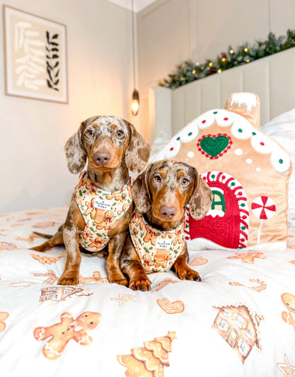 Gingerbread Grove Adjustable Harness