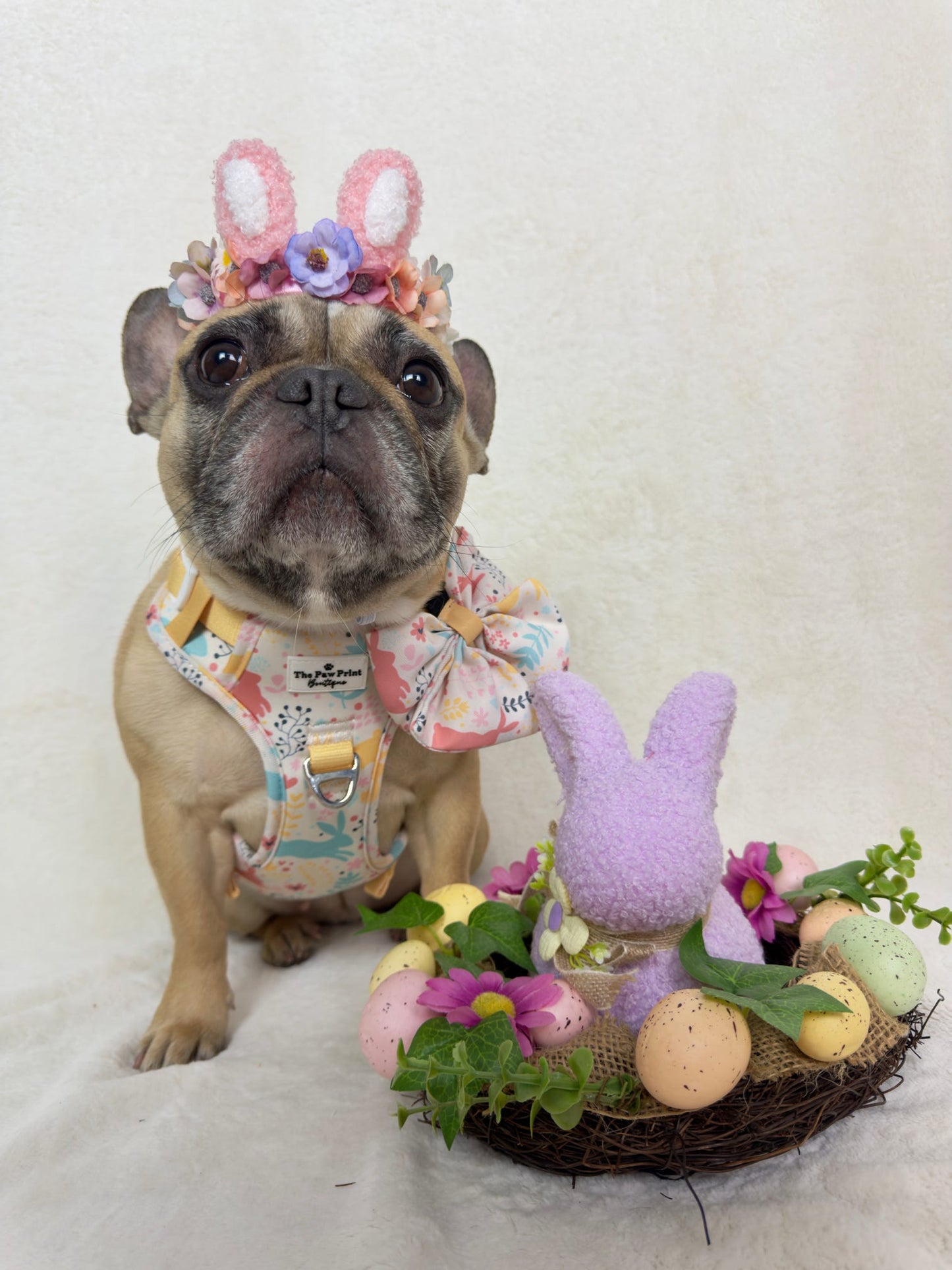 Hop into Bloom Adventure Paws Harness