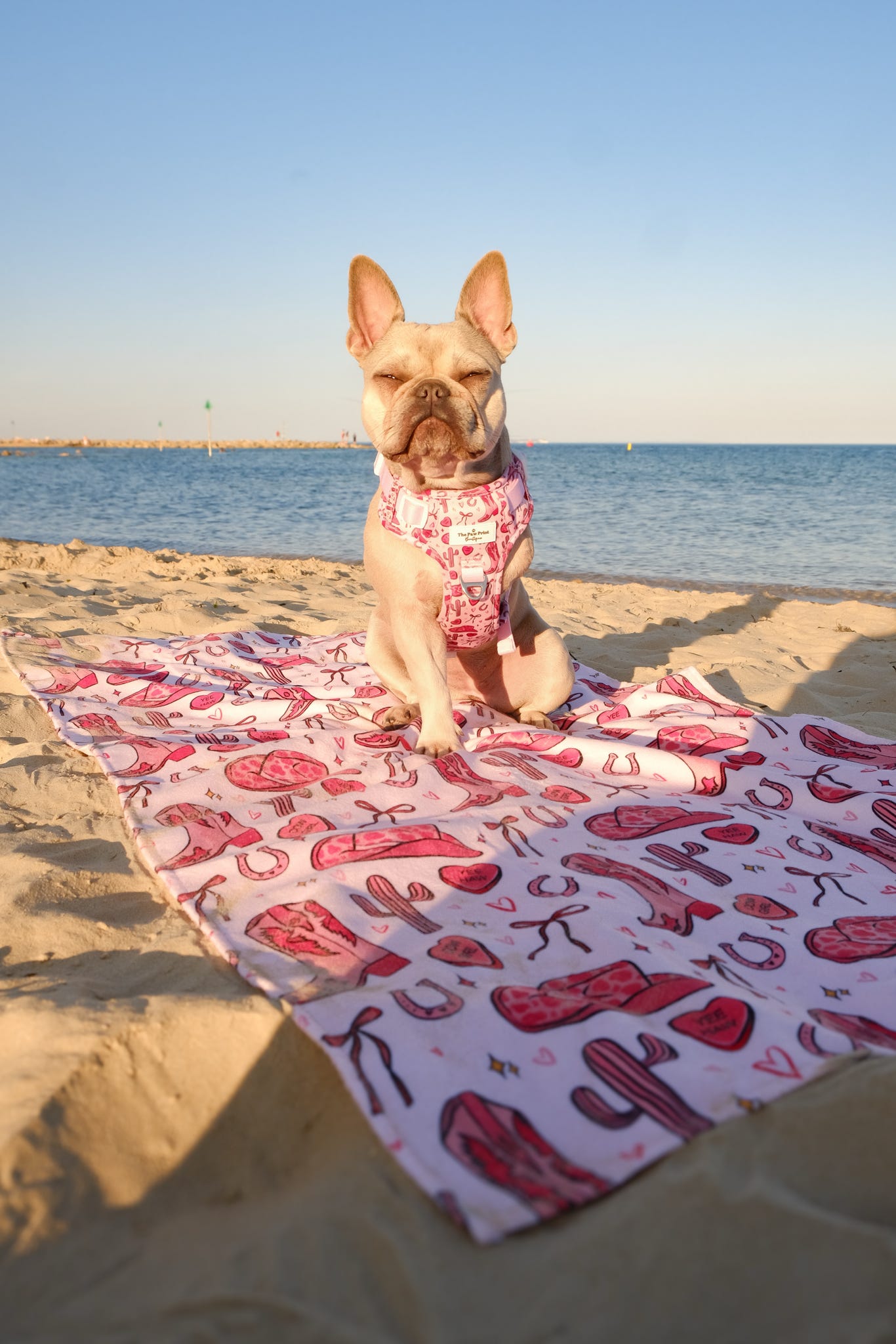 Giddy up Pup Beach Towel