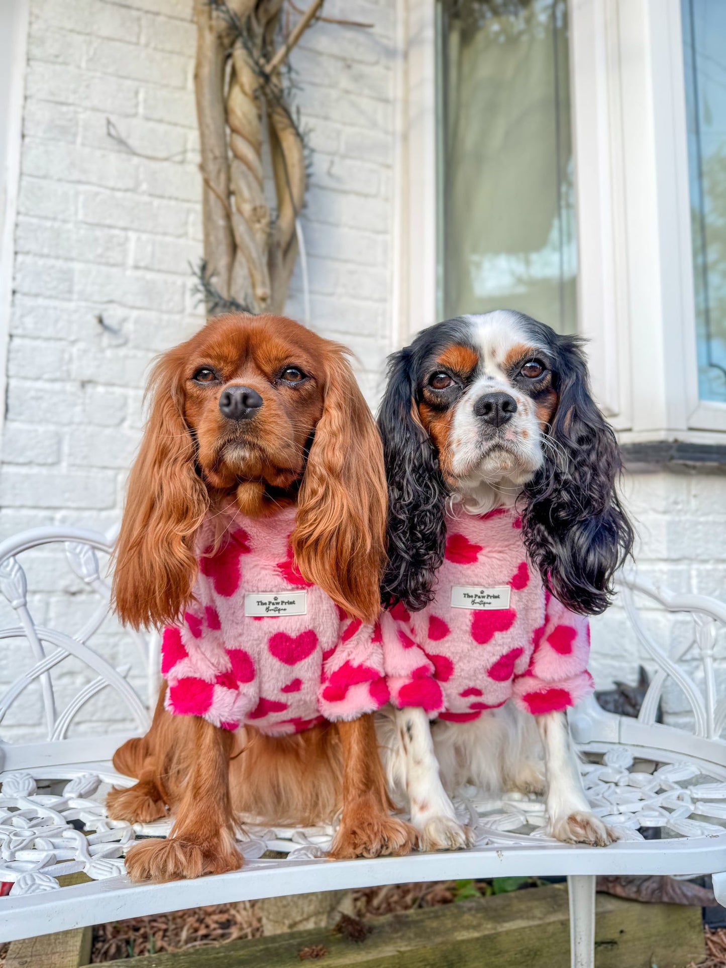 The Love Hearts Fluffy & Fabulous Fleece