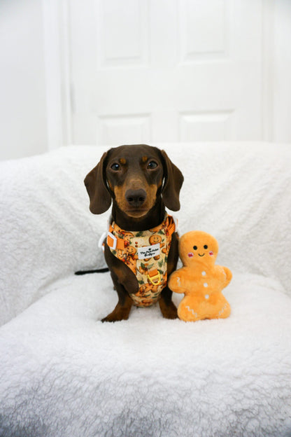 Gingerbread Grove Adventure Paws Harness