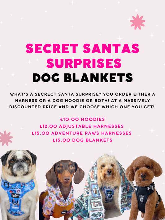Secret Santas Surprise - Dog Blanket