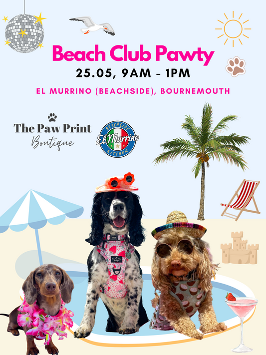 Beach Club Pawty Tickets 🏖️