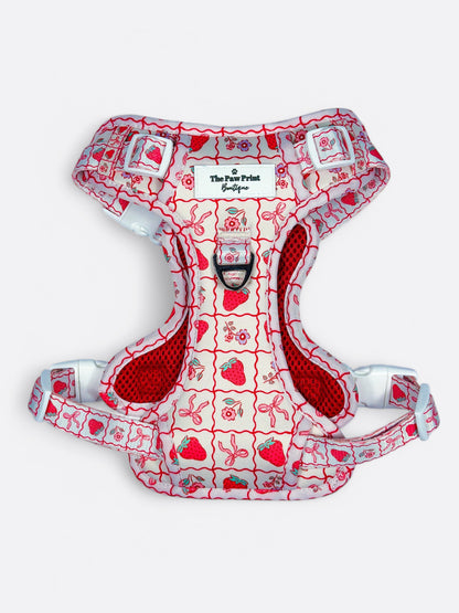 The Bows & Berries Adventure Paws Harness