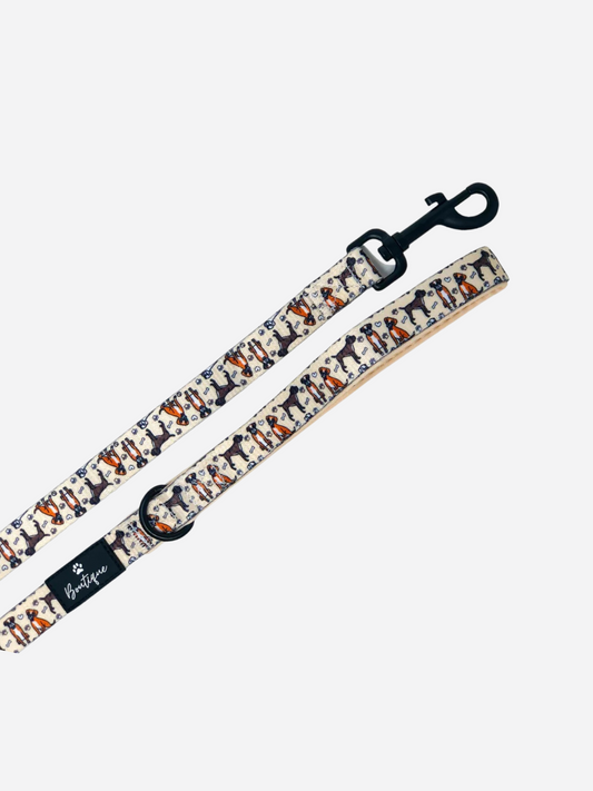 The Boxer Lead