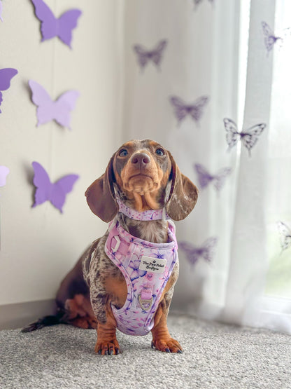 Butterfly Bliss Adventure Paws Harness