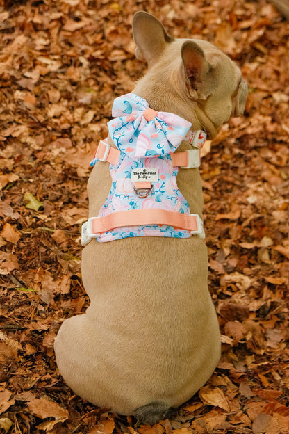 Pablos Pumpkins Adventure Paws Harness