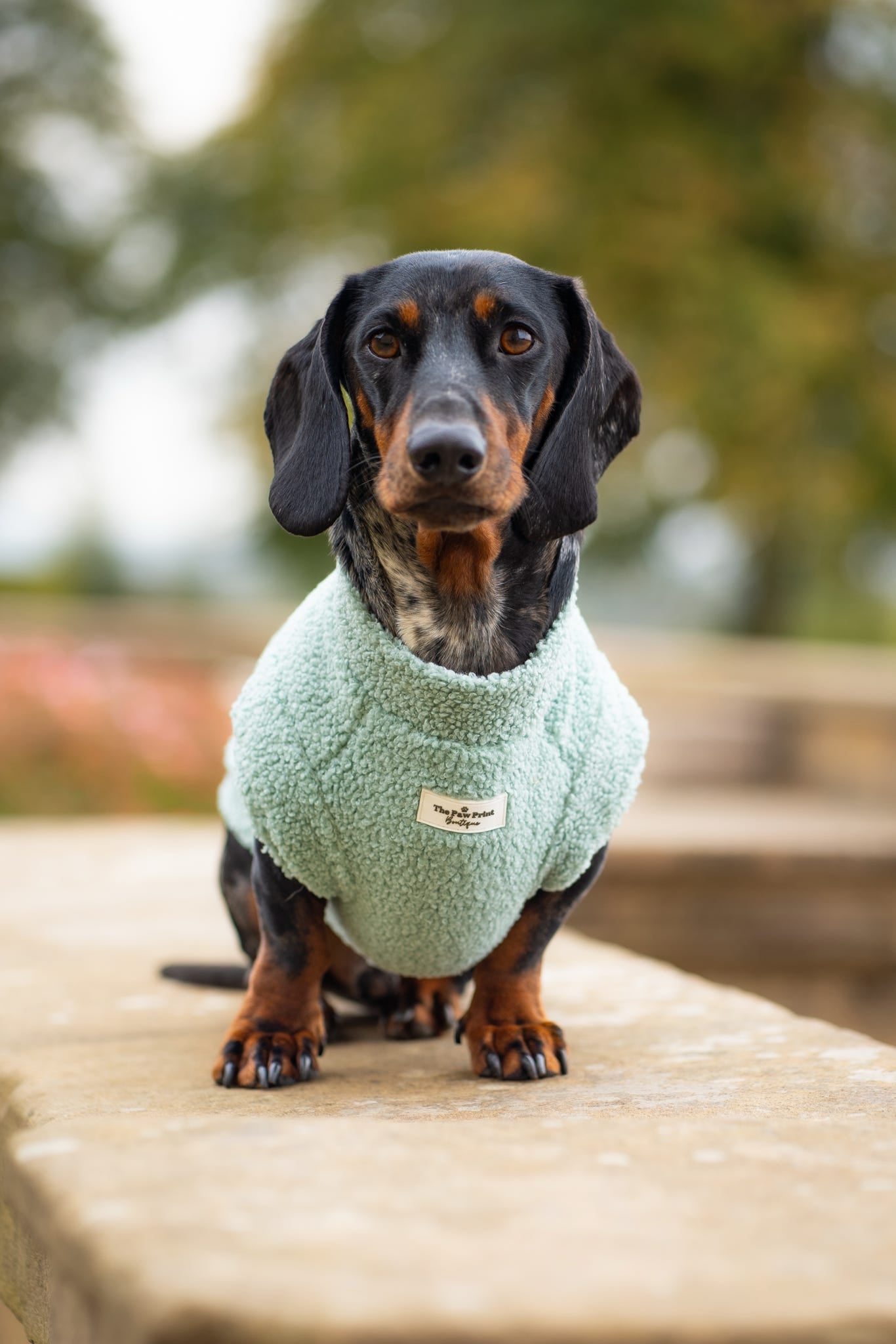 Teddy Fleece - Pistachio