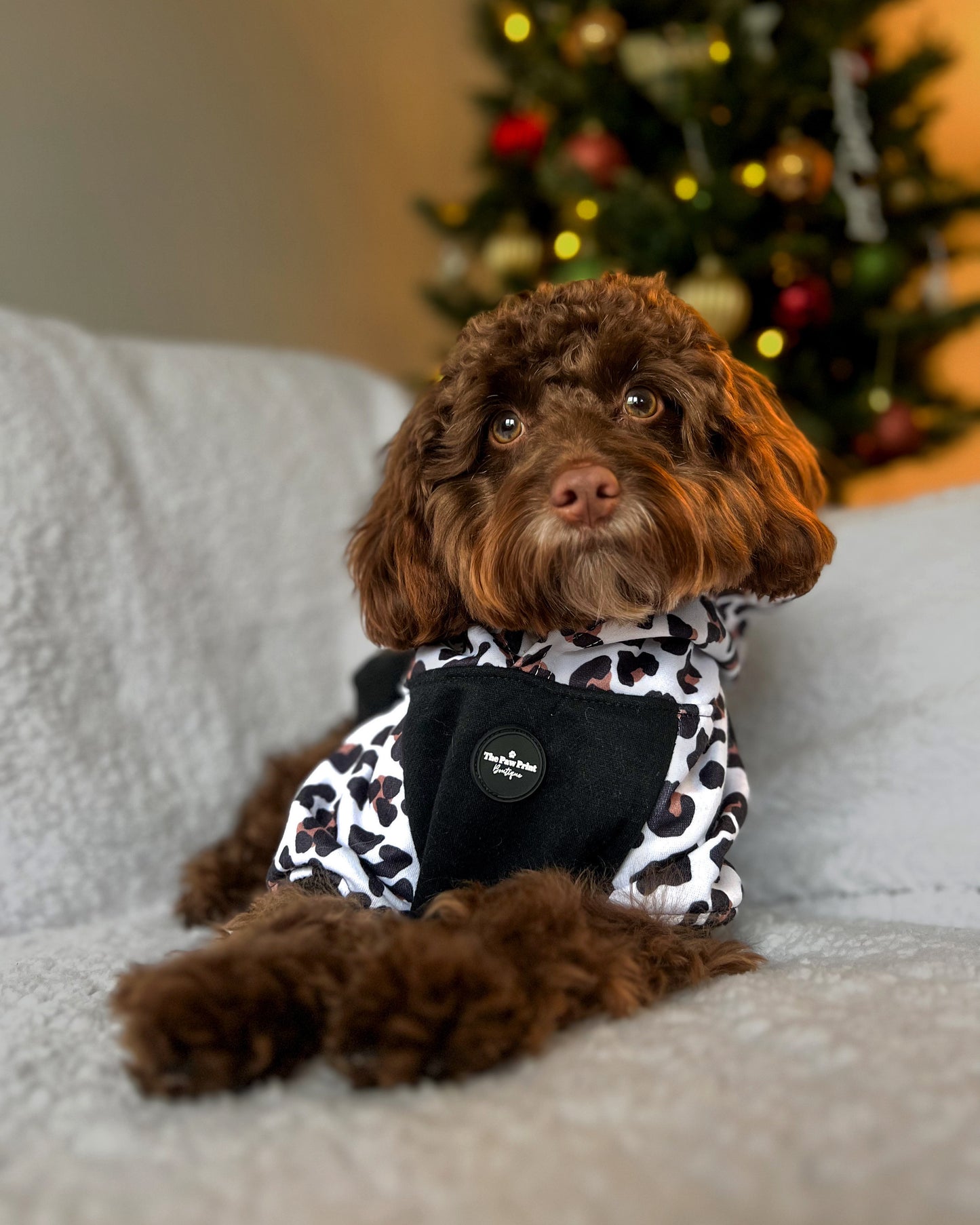 The Lavish Leopard Dog Hoodie