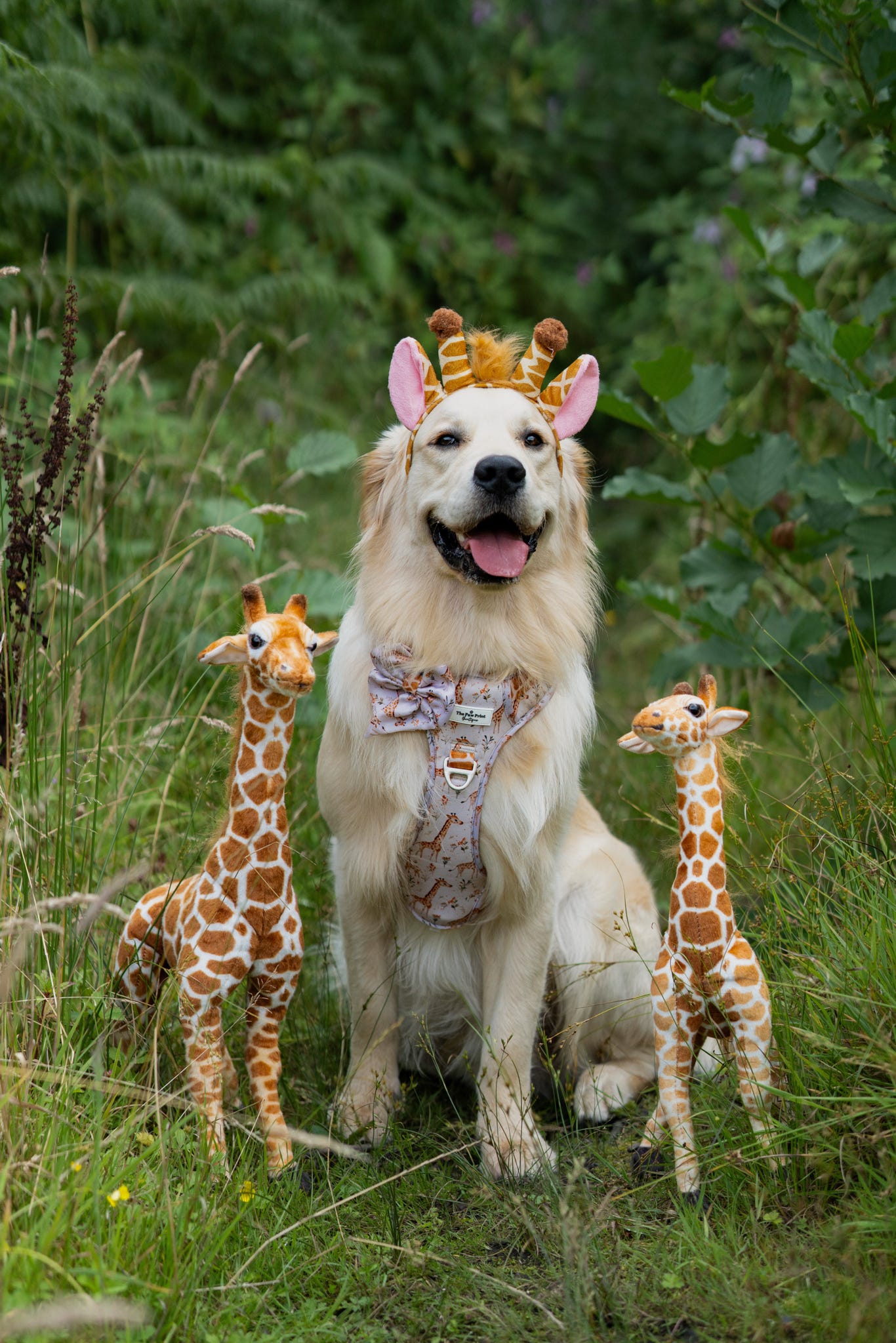 The Graceful Giraffe Bow Tie