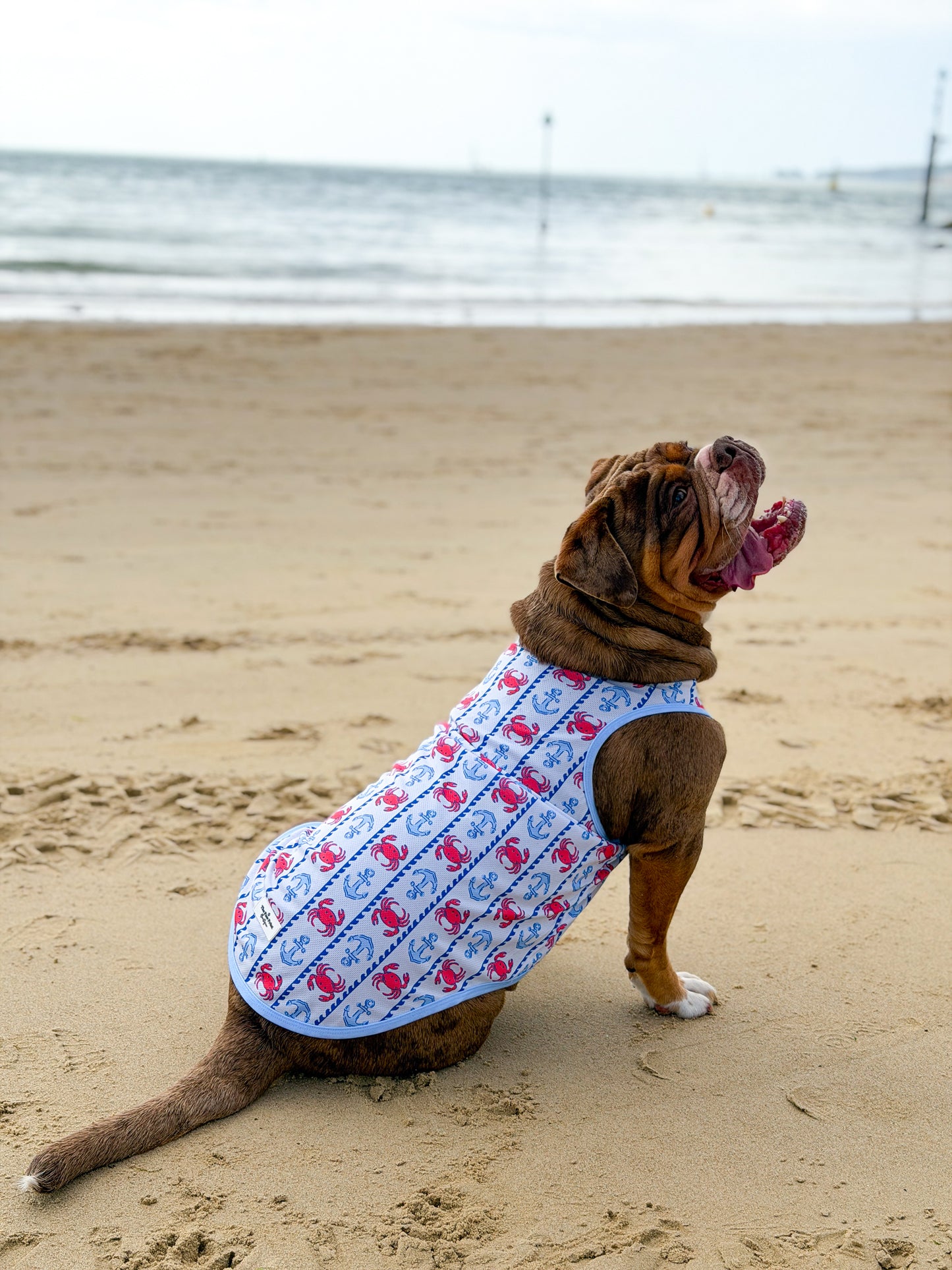 Absolutely Crabulous Cooling Vest