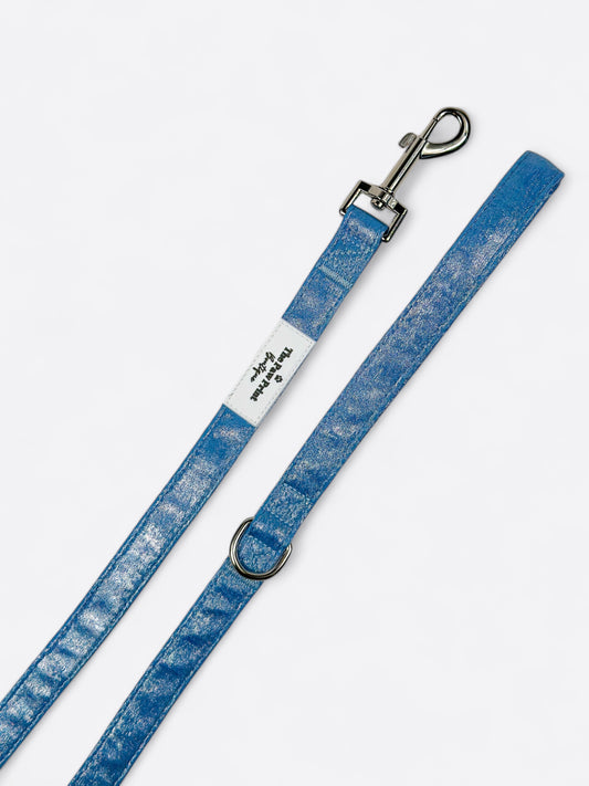 The Ocean Blue Lead