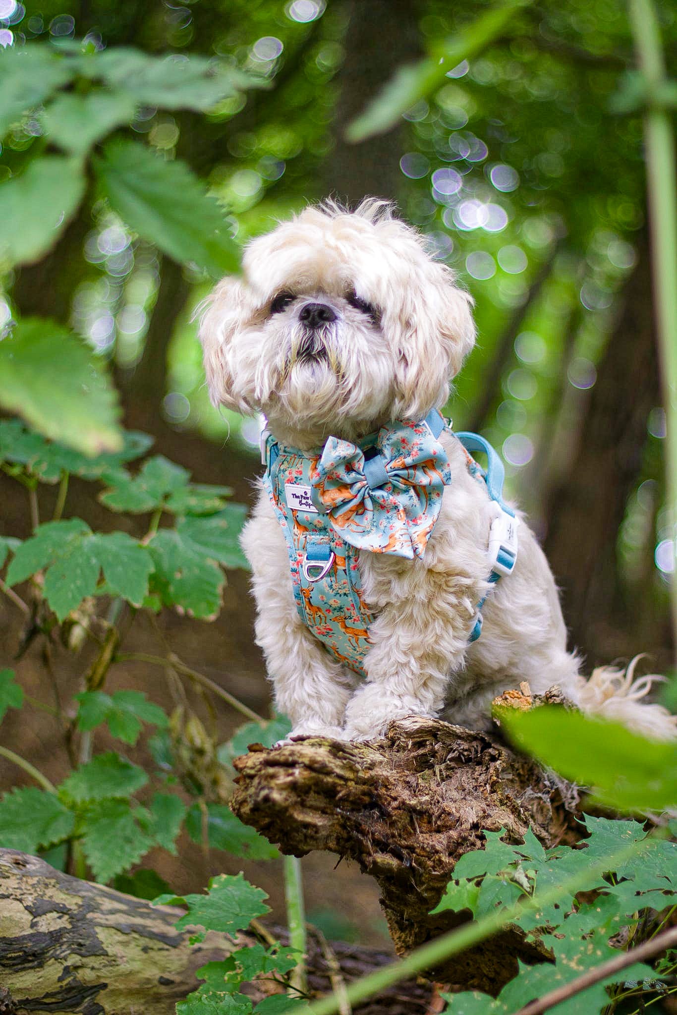 Bambi in Bloom Bow Tie
