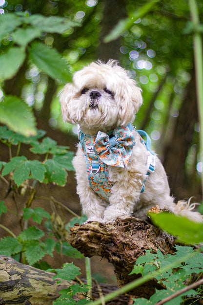 Bambi in Bloom Bow Tie