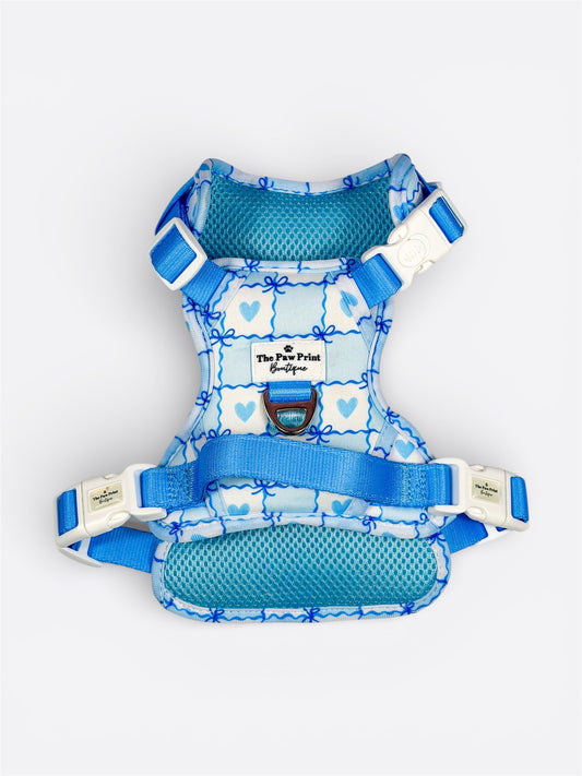 Blue Chequered Hearts Adventure Paws Harness