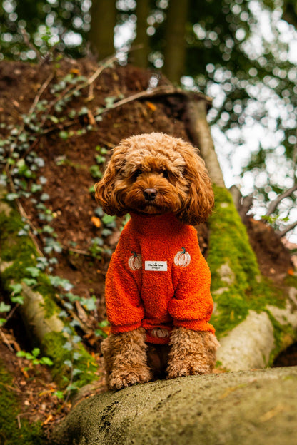 The Embroidered Pumpkins Teddy Fleece